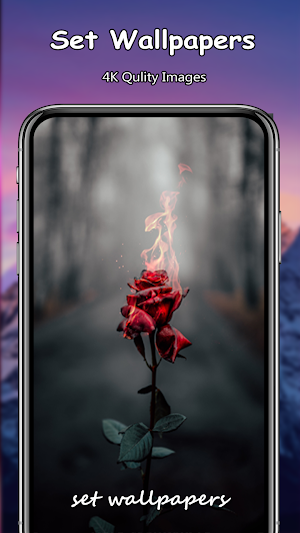 Rose Live Wallpapers PRO Screenshot 3