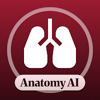 Anatomy & Physiology Solver
