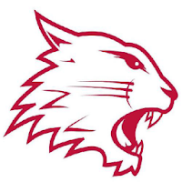 Swindon Wildcats