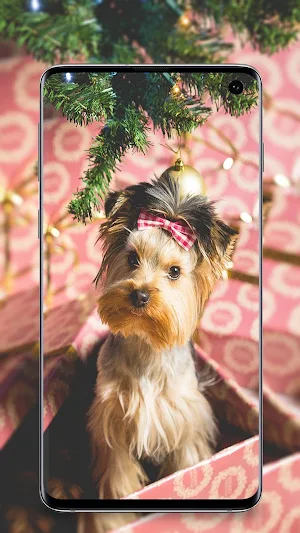 Puppy Wallpapers Screenshot 3
