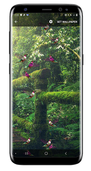 Birds Flying Live Wallpaper Screenshot 0