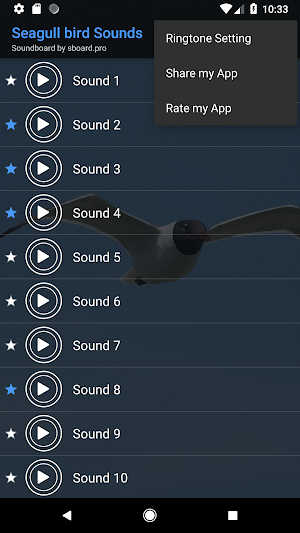 Seagull bird sounds ~ Sboard.pro Screenshot 3