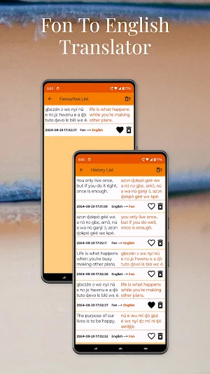 Fon To English Translator Screenshot 3