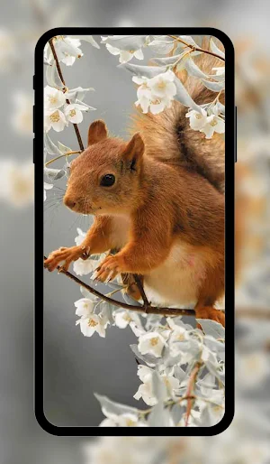Spring wallpaper HD+ Screenshot 0