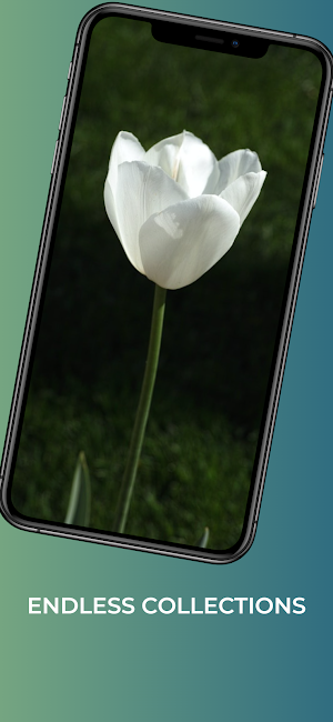 Flowers wallpaper 4k cute Screenshot 2