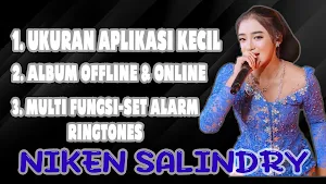MP3 Campursari Niken Salindry Screenshot 2
