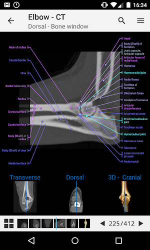 vet-Anatomy Screenshot 1