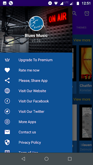 Free Blues Music 🎵🎵🎵 Screenshot 1