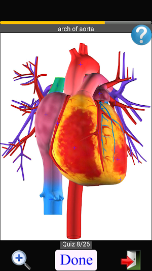 Anatomy Quiz Free Screenshot 3