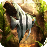 HD Aquarium Live Wallpaper 3D