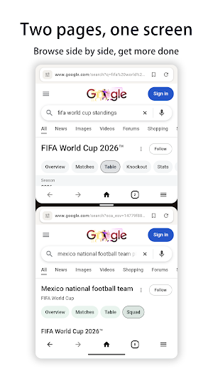 Agogo Browser : Private · AI Screenshot 3