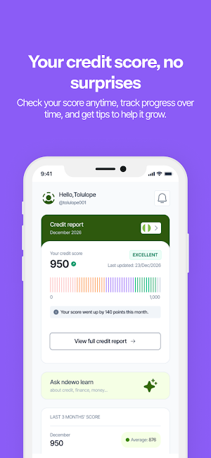 Ndewo Finance Screenshot 2
