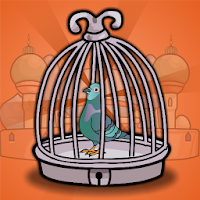 Palace Pigeon Rescue