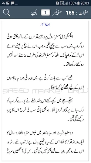 Hasil Novel by Umera Ahmed : Complete Urdu Novel Screenshot 2