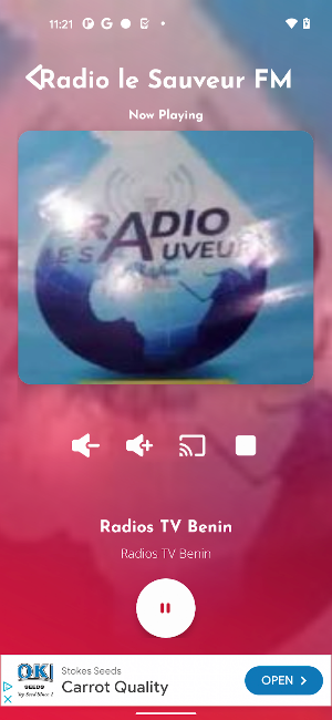 Radios TV Benin Screenshot 3