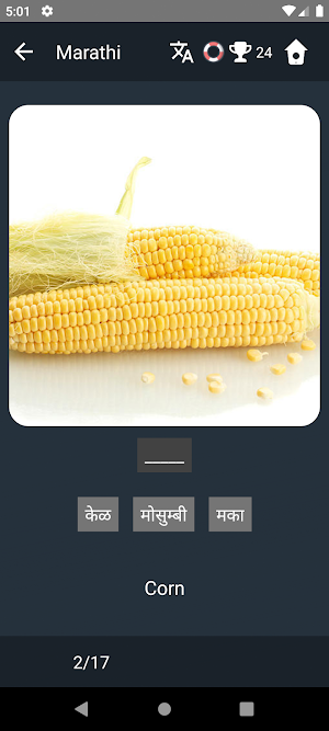 Marathi Language Tests Screenshot 3