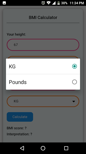 BMI Calculator Screenshot 3