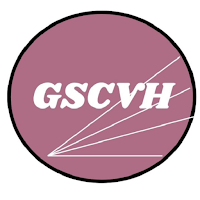 GANTI SIR COMMERCE VIGYAN HUB