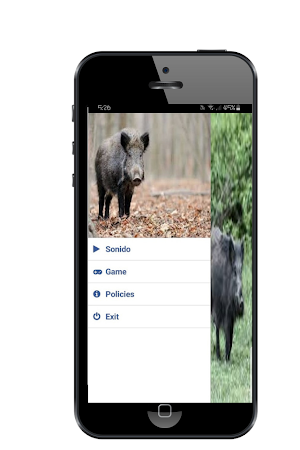 Wild pig Sound Screenshot 0