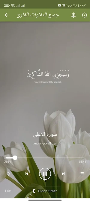 القران عبد الرحمن مسعد بدون نت Screenshot 3
