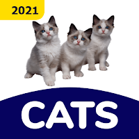 Cat Stickers for WAStickerApps