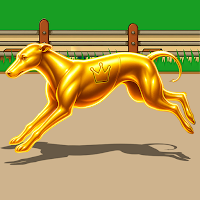 Dog Racing