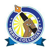 Merit Collegiate Coaching