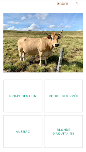 Vaches de France Screenshot 2