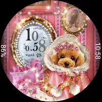 Princess toy Poodle (WF712)