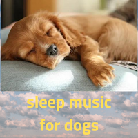 Sleep music for dogs