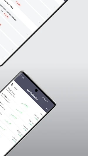 Salik Investor Relations Screenshot 2