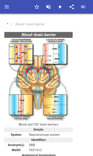Brain Screenshot 1