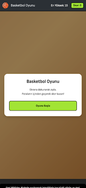 Basketbol Oyunu Screenshot 1