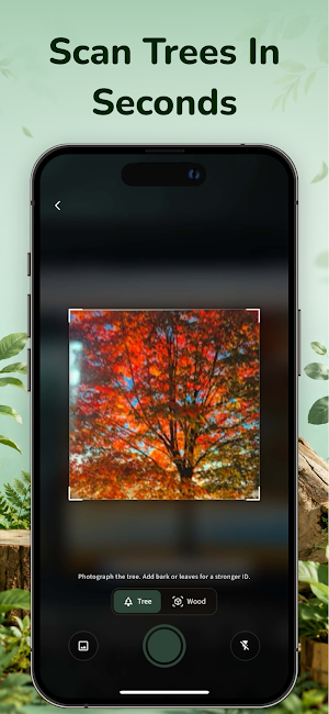 Wood Identifier App - WoodyAI Screenshot 1