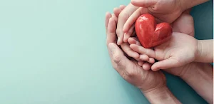 Organ and Tissue Donation Screenshot 2