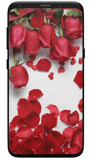 Rose Wallpapers Screenshot 3