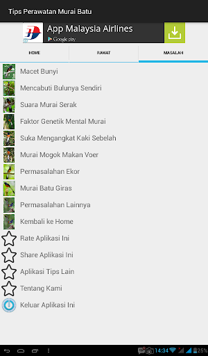 Tips Perawatan Burung Murai Batu Screenshot 3