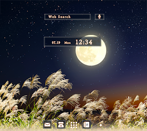 Beautiful Moonlit Night Theme Screenshot 0