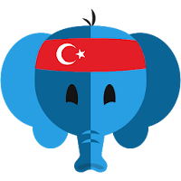 Simply Learn Turkish