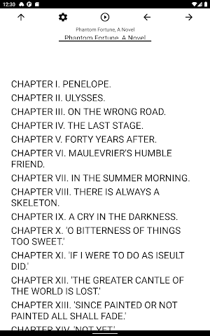 Book, Phantom Fortune, A Novel Screenshot 2