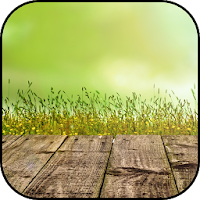 Horizontal wallpapers