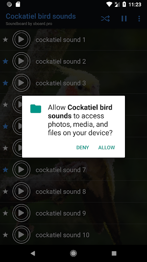 Cockatiel Sounds ~ Sboard.pro Screenshot 1