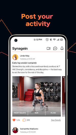 Synagein Screenshot 3