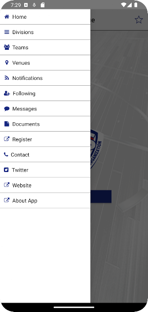 Youth Experiencing Success Screenshot 1