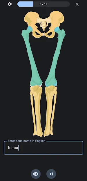 Anatomy Quiz: Bones Screenshot 2