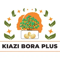 KIAZI BORA PLUS (SEE AFRICA)