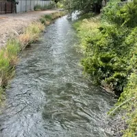 Water Ordering