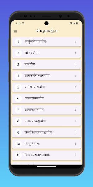 Bhagavad Gita Hindi Audio Screenshot 1