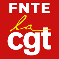 CGT FNTE