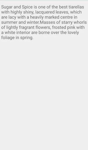 Tiarella Sugar And Spice Screenshot 2